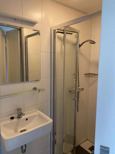 a bathroom with a sink and a shower at 't Hok in Hollum