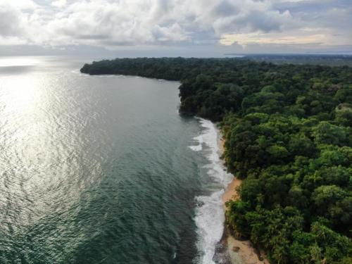 an aerial view of a beach and the ocean at Corcovado Adventures in Drake