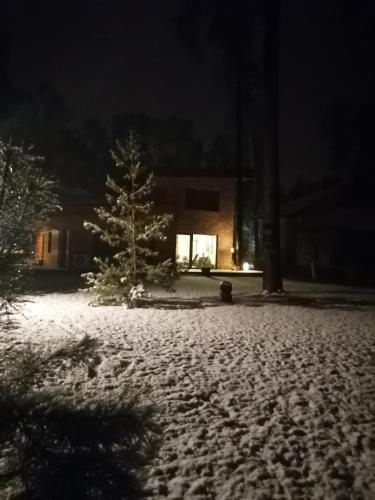 a snow covered yard at night with a christmas tree at Kulautuva Rest Home Large Space in Kulautuva
