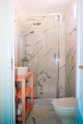 a bathroom with a shower with a sink and a toilet at A Casa Alegre in Miranda do Douro
