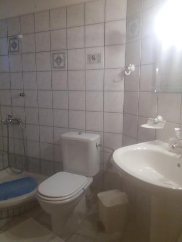 a bathroom with a toilet and a sink at Tzoumerka in Ktistádes