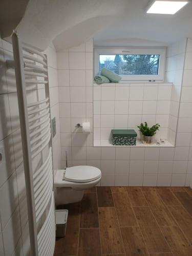 Koupelna v ubytování Apartmán Krkonoše