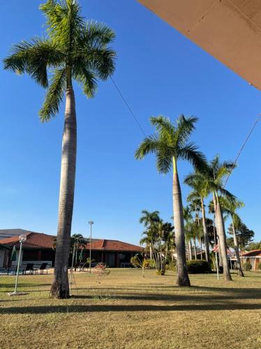 a group of palm trees in a park at IPÊ PARK Convention Hotel in Sao Jose do Rio Preto