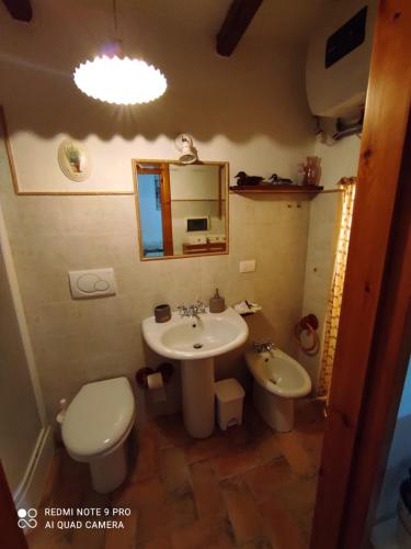 聖菲奧拉的住宿－Casina Margot，一间带水槽、卫生间和镜子的浴室