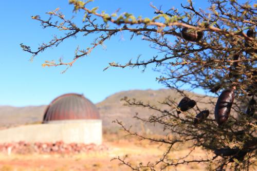 a building with a dome in a field with a tree at Hostal Apuwara in Combarbalá