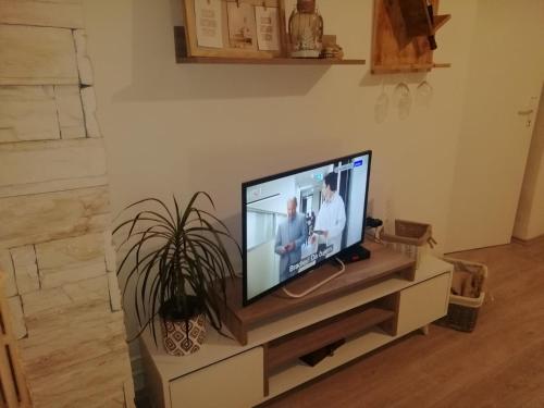 Apartment Green Free private parkingにあるテレビまたはエンターテインメントセンター