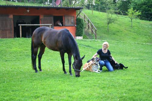 Animales en el bed & breakfast o alrededores