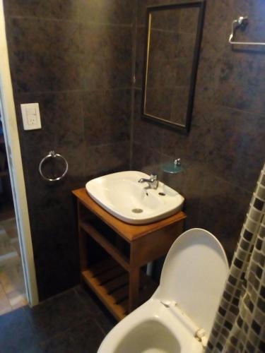 a bathroom with a sink and a toilet at LUMALU Deptos in Villa Cura Brochero