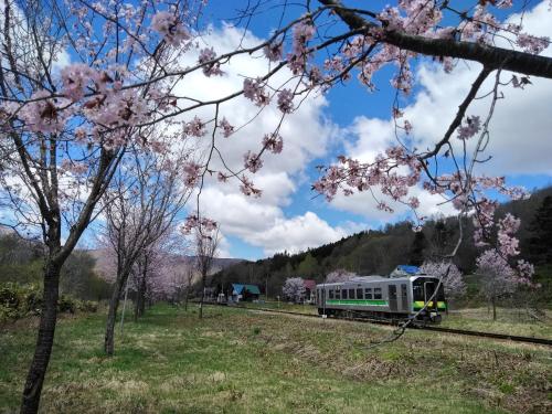 a train on the tracks with pink flowers at Ekinoyado Hirafu in Kutchan