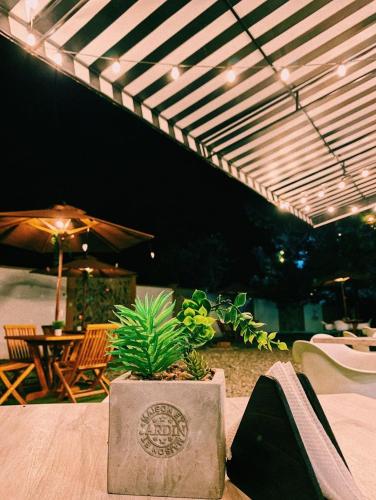 a patio with a table with a potted plant at Casa Hotel Bremen in Circasia