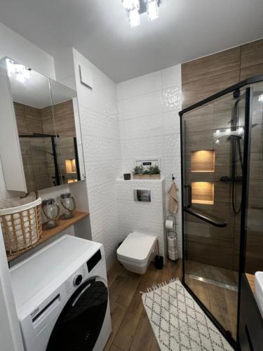 Et badeværelse på Apartament Sadowa 87 Garaż gratis !