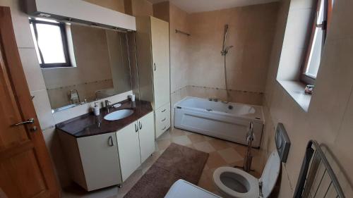 a bathroom with a sink and a toilet and a tub at Apartment Aurelio in Zenica