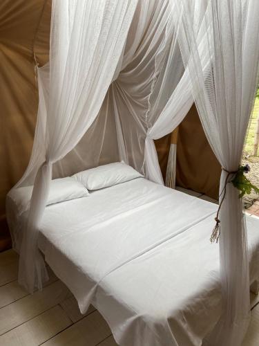 a bed with white mosquito netting in a tent at biohotel tatacoa Qji in Villavieja