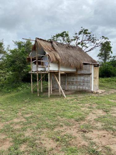 an old house with a straw roof and a chair at biohotel tatacoa Qji in Villavieja