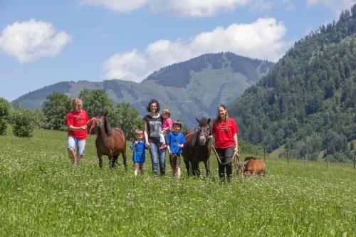 Huéspedes de Feriendorf Ponyhof