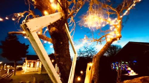 a tree with christmas lights on it with a ladder at Club Thermal Village Cegled in Cegléd