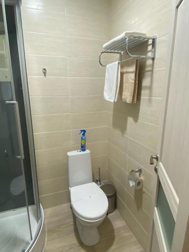 a small bathroom with a toilet and a shower at Гостиница "Талисман" in Barnaul