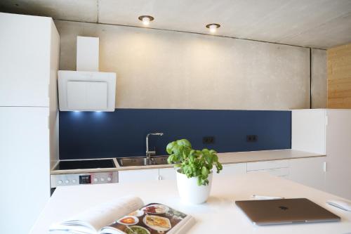 a kitchen with a sink and a plate of food on a table at Serviced Apartments - FeWo im Herzen Königsbronns in Königsbronn