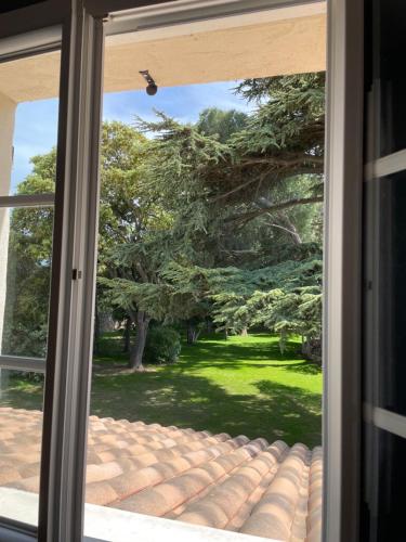 Zahrada ubytování Mas Hinaiti - Suite romantique avec Spa et écran géant de cinéma