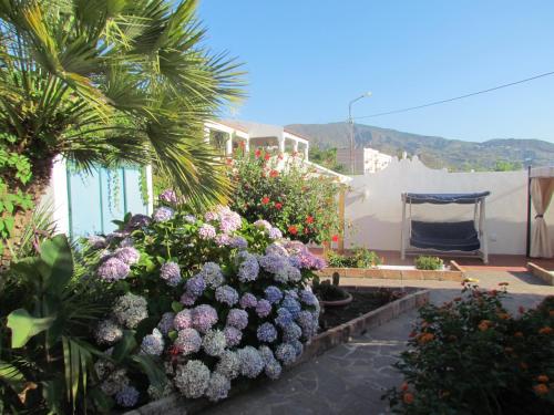 a garden with purple flowers and a palm tree at B&B Il Cappero in Lipari