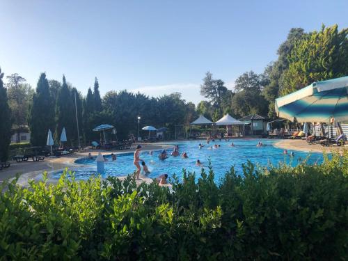 un gruppo di persone in piscina di Zona Rosa 5 Chalet mit Klimaanlage und Wlan a Viareggio