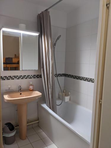 une salle de bain avec un lavabo et une douche avec un miroir dans l'établissement Les jardins de sainte Marguerite, à Pornichet