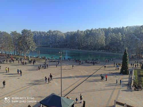 a large group of people walking around a park at Zlatibor Apartman Kraljev trg in Zlatibor