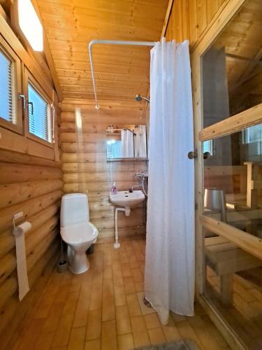a bathroom with a toilet and a sink at Sarkkila in Kalajoki