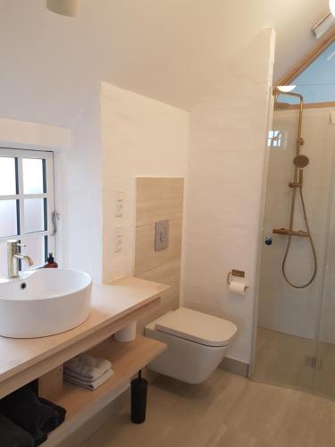 ein Bad mit einem Waschbecken, einem WC und einer Dusche in der Unterkunft Fiskerhuset in Agger