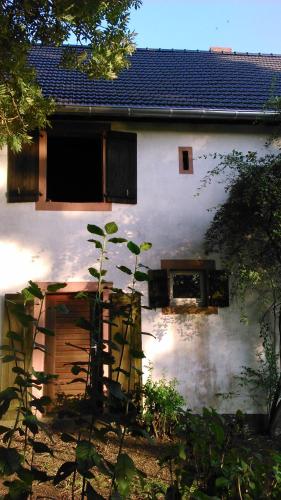 Edificio en el que se encuentra la casa o chalet