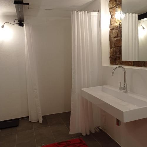 Un baño con lavabo y cortina de ducha. en LINDE2, en Horperath