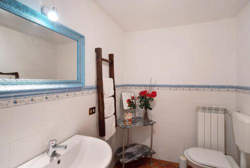 a bathroom with a sink and a mirror and a toilet at Antico Granaio in Vessalico