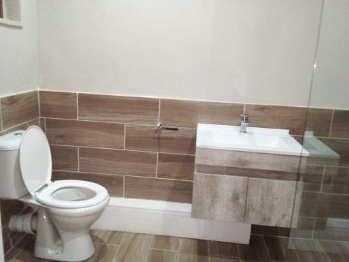 a bathroom with a toilet and a sink at Sani Pass Manor Guest House in Himeville