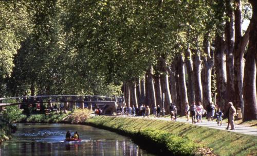 a group of people swimming in a river in a park at Ibis Styles Toulouse Centre Canal du Midi in Toulouse
