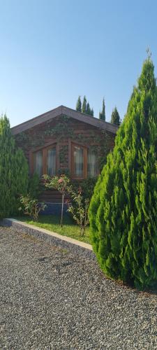 Ein Garten an der Unterkunft Hotel Emocia