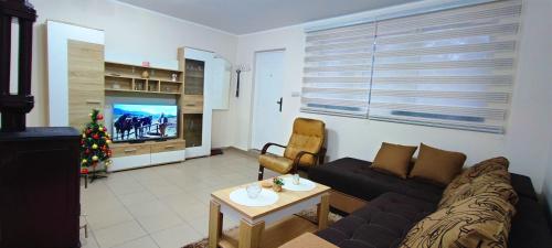 - un salon avec un canapé et un arbre de Noël dans l'établissement Apartman Mis Divcibare, à Divčibare