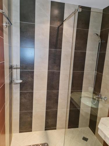 a shower with a glass door in a bathroom at EFO Apartment in Bansko