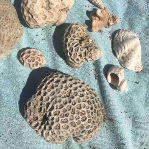 a group of rocks sitting on a blue cloth at Risan Chill in Eilat