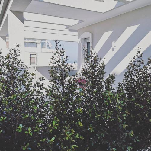 a white building with trees in front of it at Insula Maris in Trani