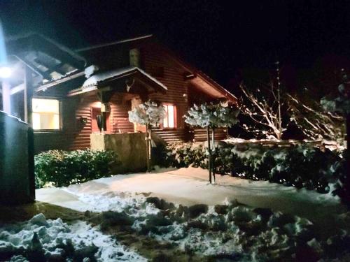 4TREES Holiday House