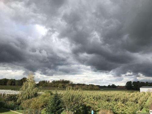a cloudy sky over a field of crops at Cozy vacation home for 8 persons in Heers in Heers