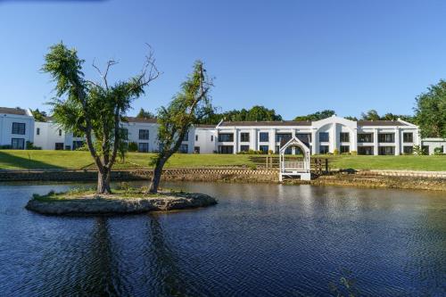 two trees on an island in the water in front of a building at Lord Charles Hotel in Somerset West