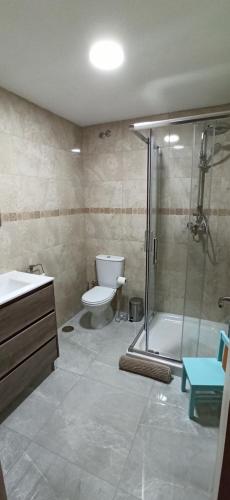 uma casa de banho com um chuveiro, um WC e um lavatório. em Las 3 Golondrinas em Peñafiel