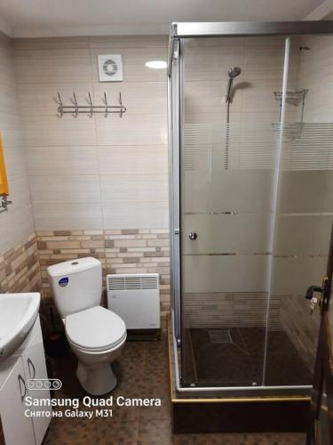 a bathroom with a toilet and a glass shower at Котедж "Смерековий затишок" in Vorokhta