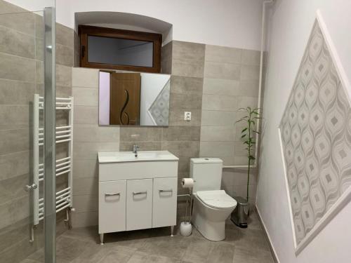 een badkamer met een toilet, een wastafel en een spiegel bij Vik. Apartment in Sighişoara