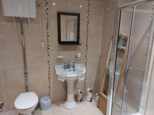 Knockaderry House tesisinde bir banyo