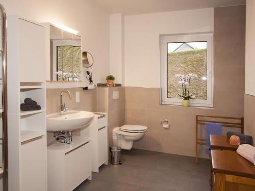 a bathroom with a toilet and a sink and a window at Ferienwohnung Mertens Selkentrop in Schmallenberg