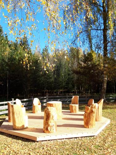 a group of stone chairs on a wooden table in a park at Landhotel Häuserl im Wald in Gröbming