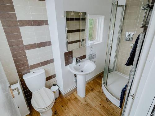 a bathroom with a toilet and a sink and a shower at The Nook in Barnstaple