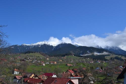 a village with snow capped mountains in the background at Pensiunea Sarah Bran in Bran